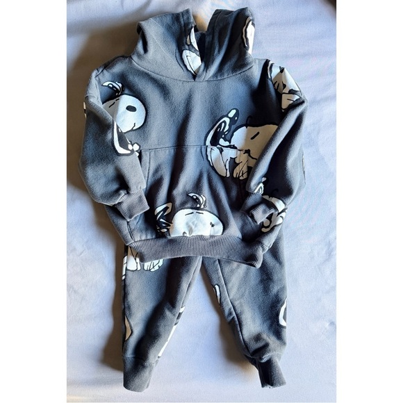 Other - Gray Kids Hoodie and Jogger Set